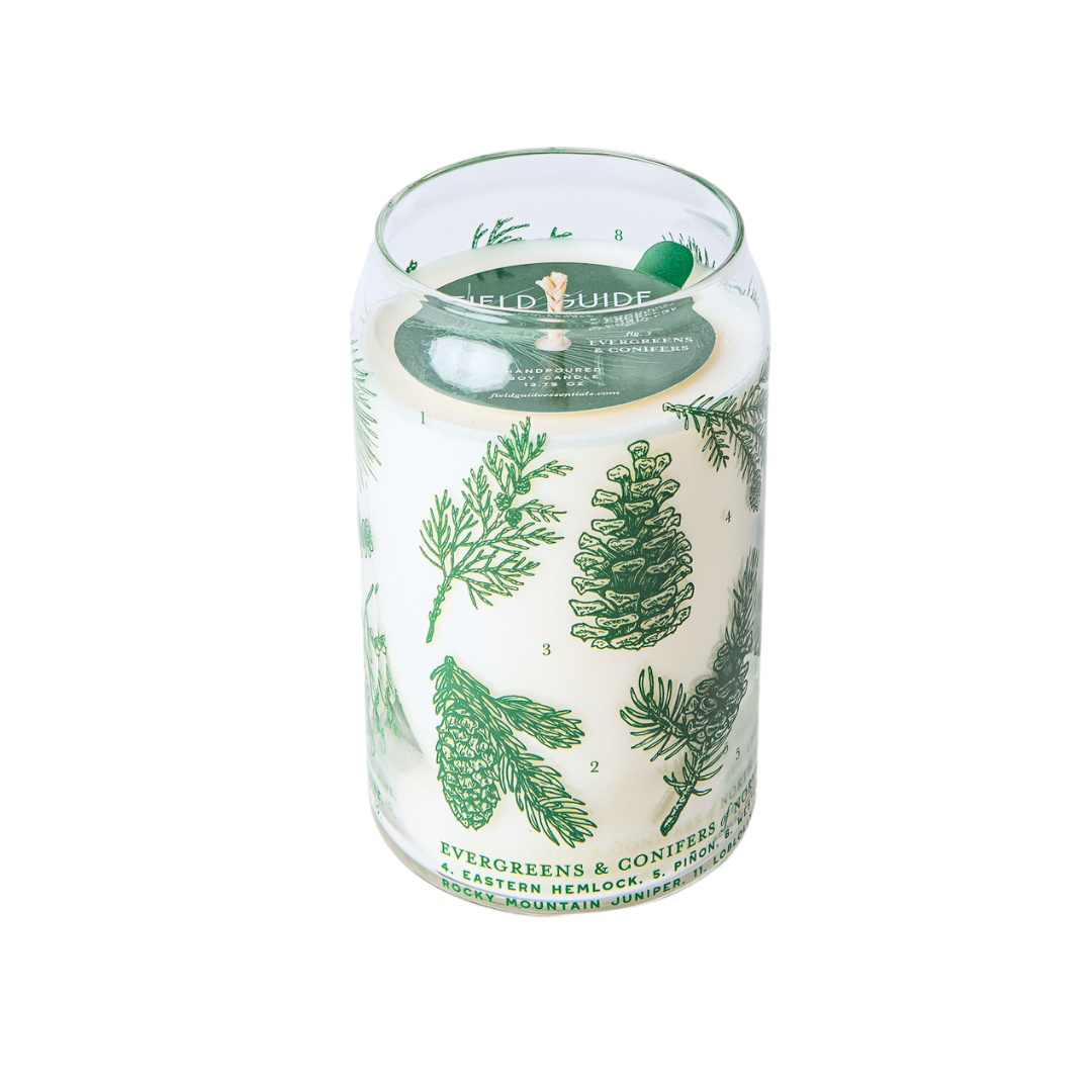 Evergreens &amp; Conifers Soy Candle