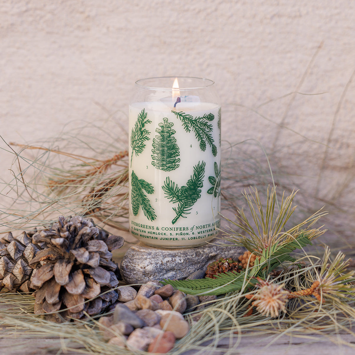 Evergreens &amp; Conifers Soy Candle