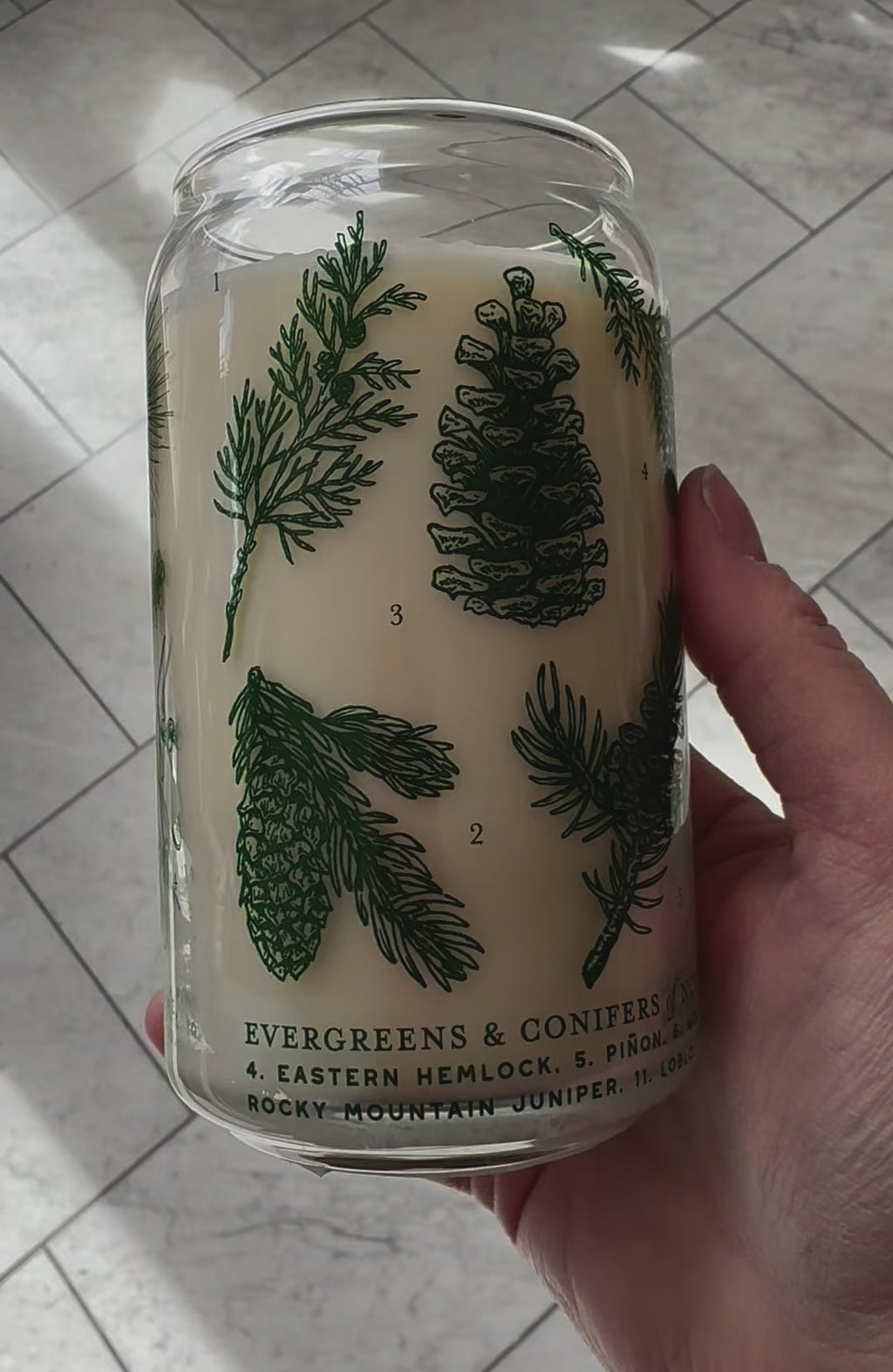 Evergreens &amp; Conifers Soy Candle