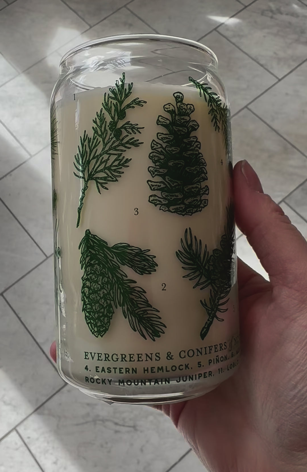 Evergreens &amp; Conifers Soy Candle